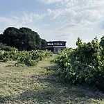 Bag Evi 度假居 博兹贾阿达岛