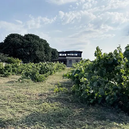 Bag Evi Ferienhaus Bozcaada
