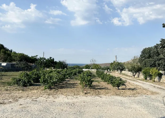 Holiday home Bag Evi *