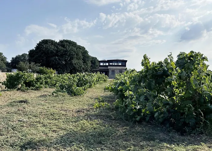 Bag Evi Holiday home Bozcaada