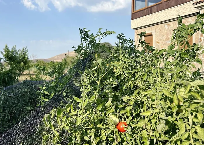 Bag Evi Holiday home *