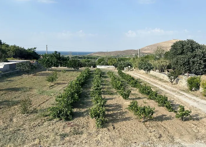 Holiday home Bag Evi